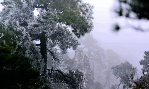 自由小迷宫