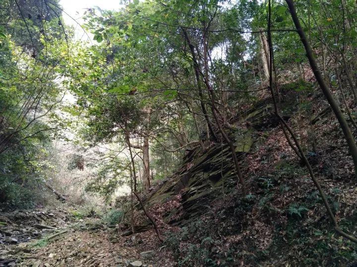《谈中中禅吟》山林子谈自然道德中中禅系列组诗之五十三