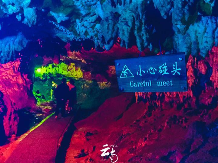 新河县政协委员李龙：加大特色农业保险保障