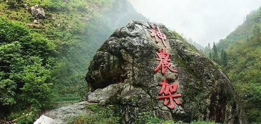 植物大战僵尸5